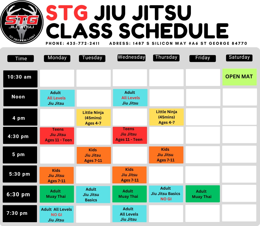 Adult Jiu Jitsu Basics - 1 schedule